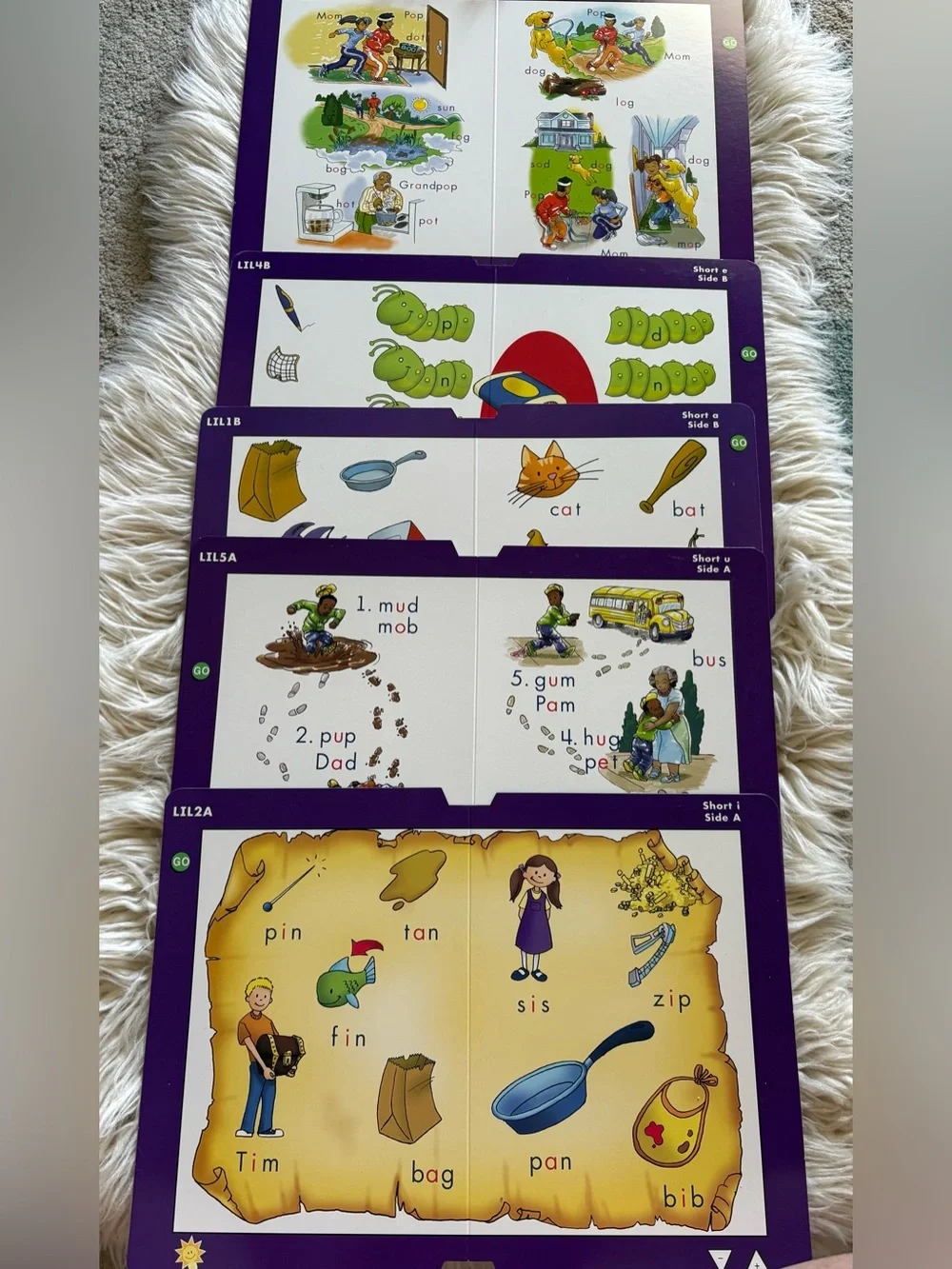 Leapfrog Schoolhouse Phonemic Awareness Leappad Teacher’s Manual Cartridge Set